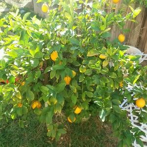 Meet your Posher, Barry